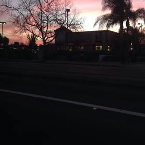 Meet your Posher, Yasmin