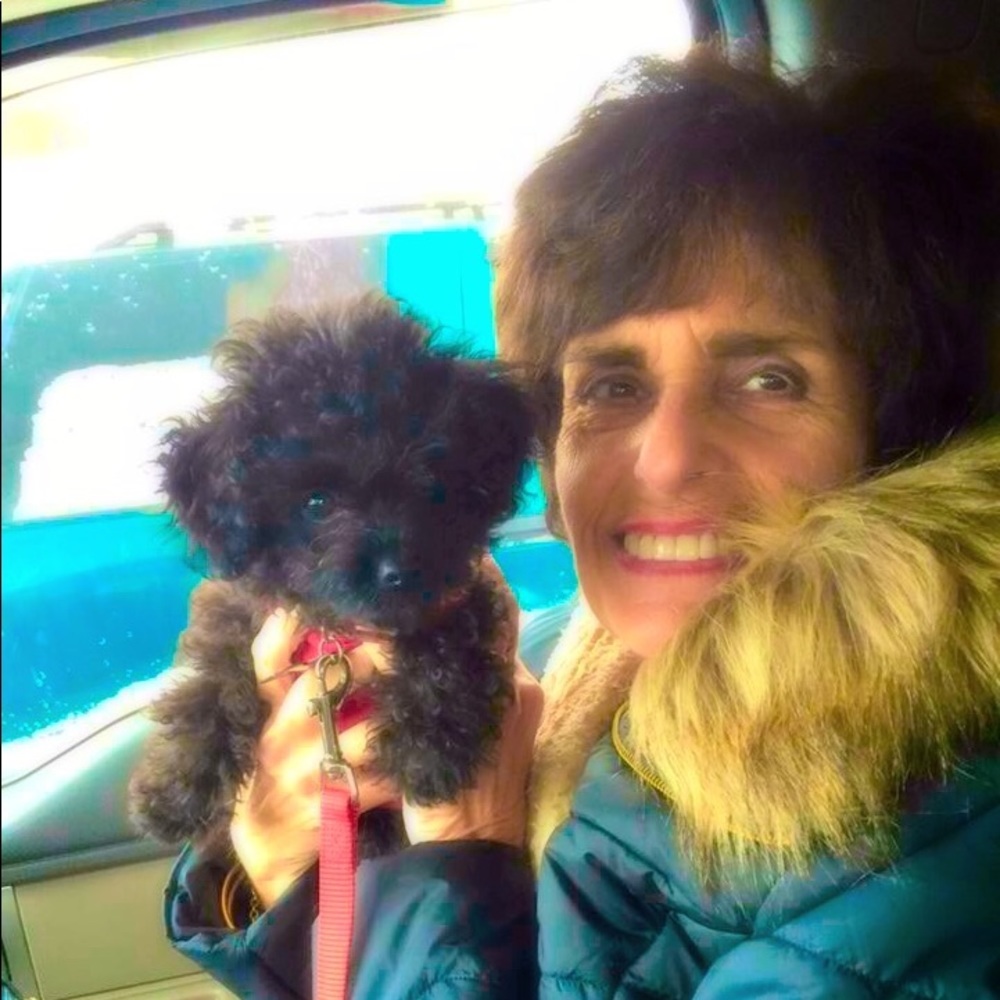 Meet your Posher, Donna