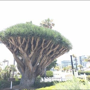 Meet your Posher, Adrian