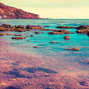 Meet your Posher, Nidia