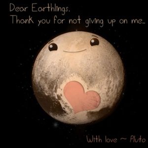 Meet your Posher, Darla