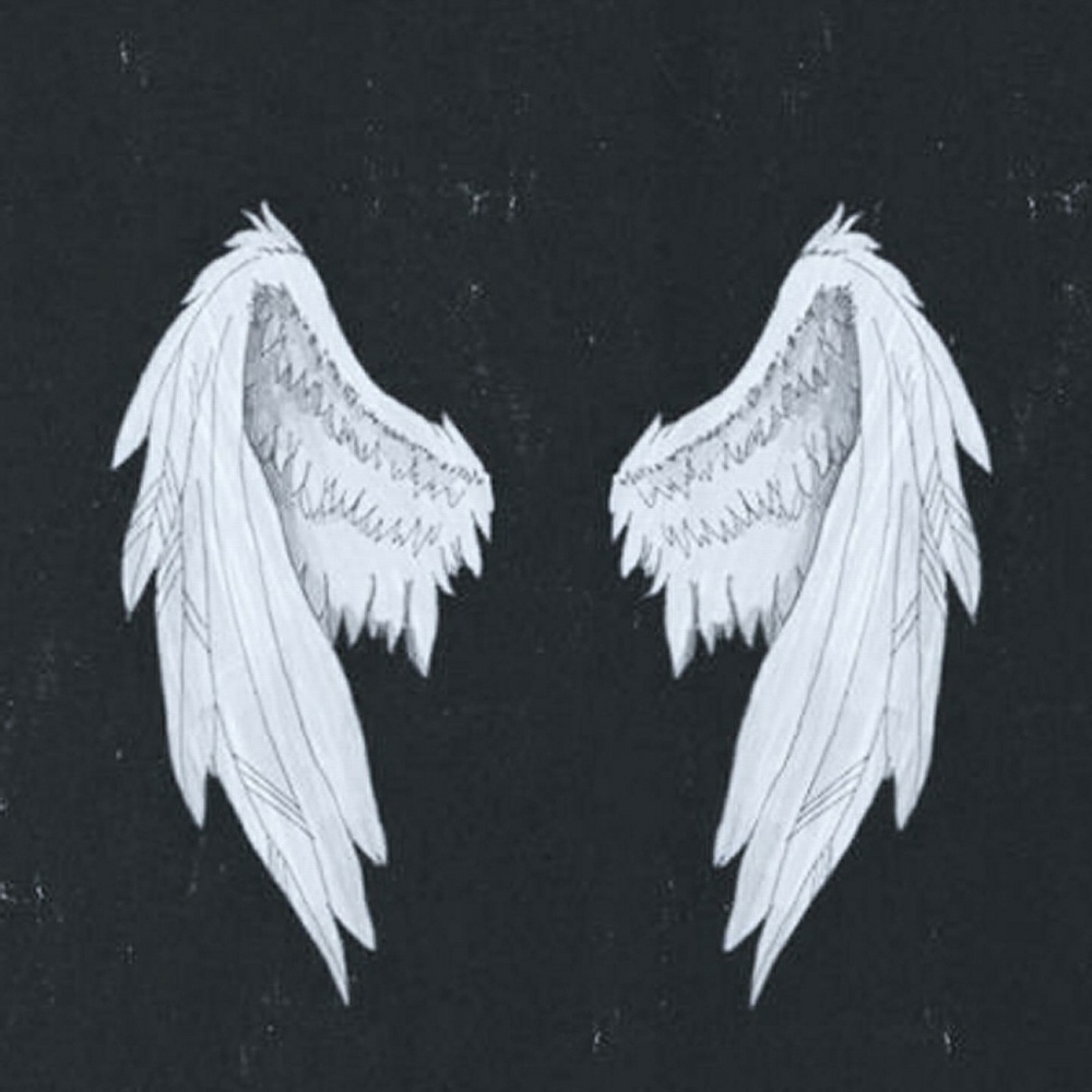 Meet your Posher, Sonya