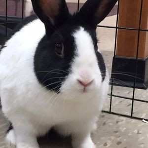 Meet your Posher, Hannah