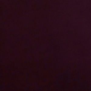 Meet your Posher, Sylvia