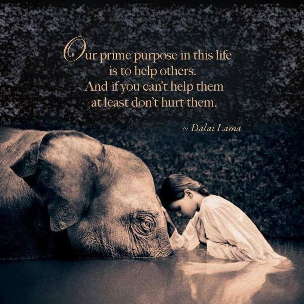 Meet your Posher, Frida