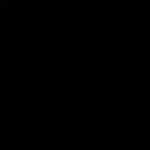 Meet your Posher, Genesis