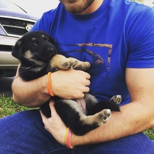 Meet your Posher, James