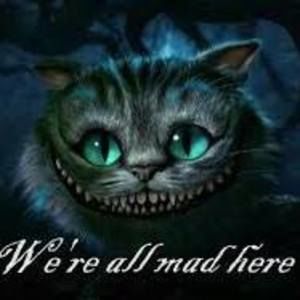 Meet your Posher, Genetta