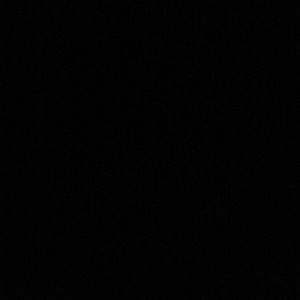 Meet your Posher, Patrina