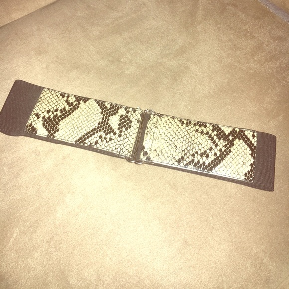 Express Other - Snakeskin belt