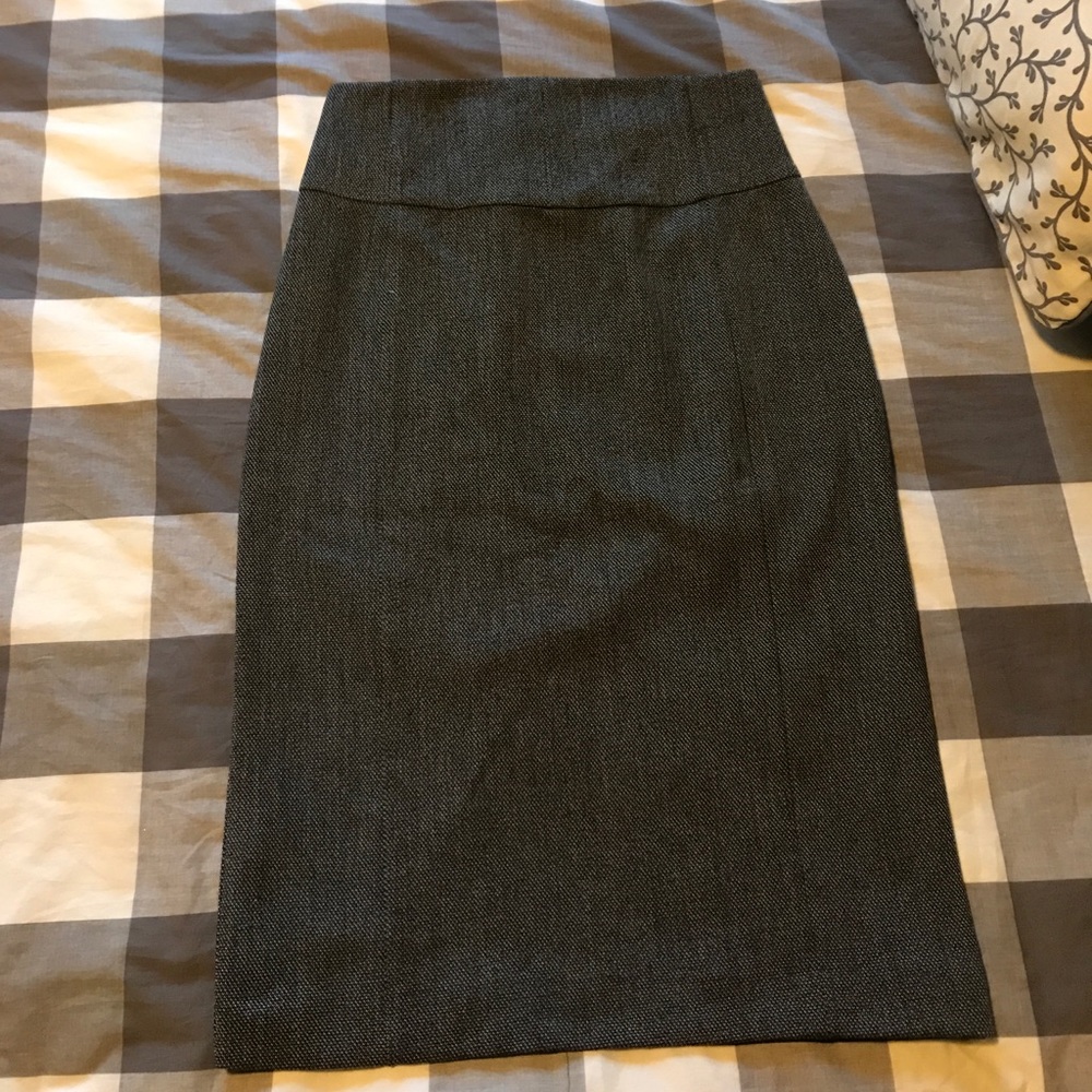 Express Pencil Skirt