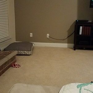 Meet your Posher, Robin