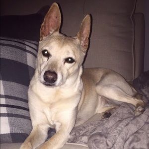 Meet your Posher, Andrea