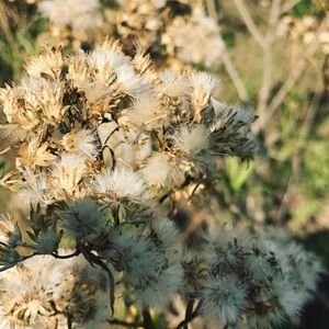 Meet your Posher, Lizeth