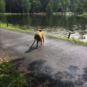 Meet your Posher, Jackie