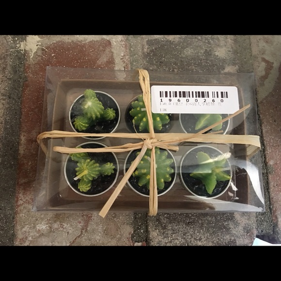 Tiny Cactus  Candle (1pcs) - Picture 2 of 2