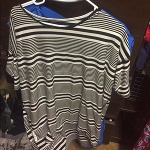 Small black and white Irma