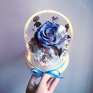 Meet your Posher, Kuanyun