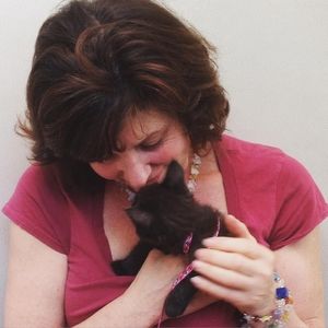 Meet your Posher, Linda