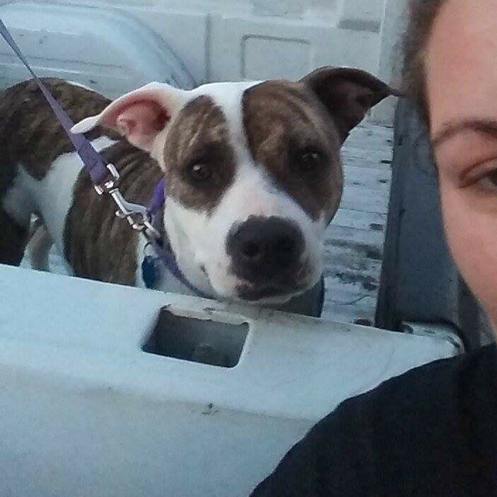 Meet your Posher, Andrea