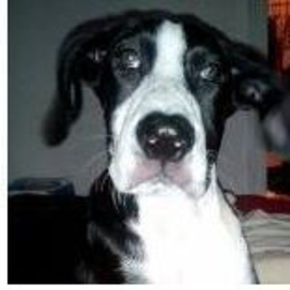 Meet your Posher, Traci