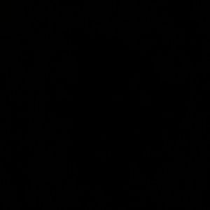 Meet your Posher, Daniela