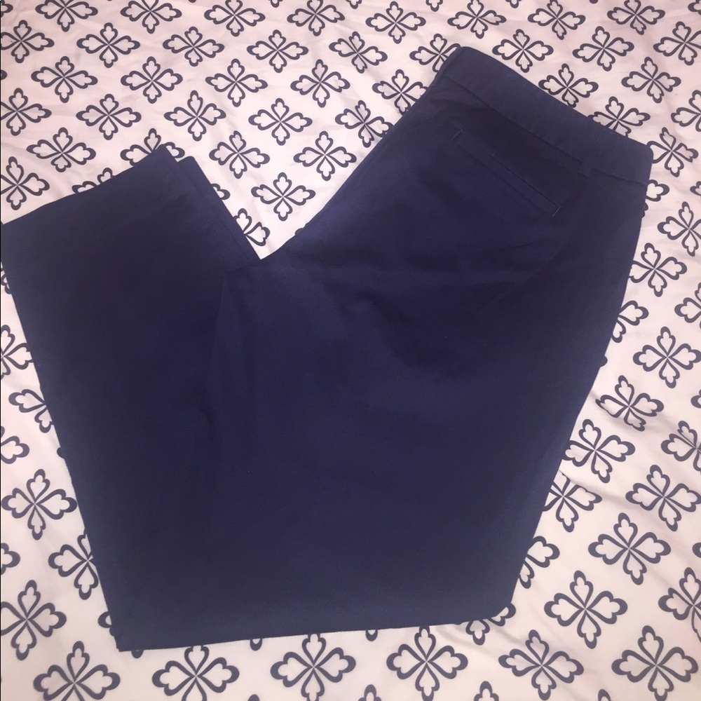 J Crew City Fit pants