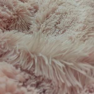 Meet your Posher, Sasha