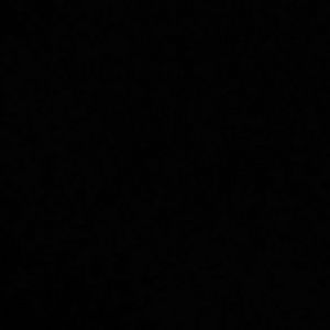 Meet your Posher, Selina