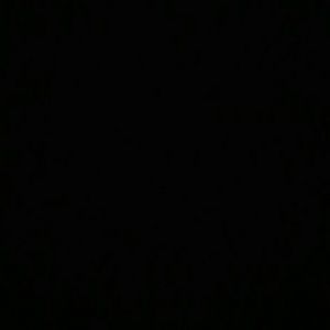 Meet your Posher, Leonard