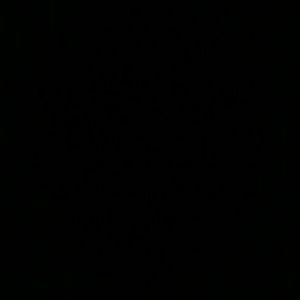 Meet your Posher, Adriane