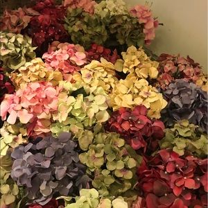 Meet your Posher, Chanmi