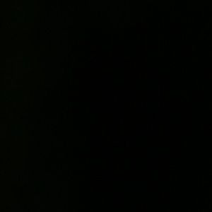 Meet your Posher, Kitty