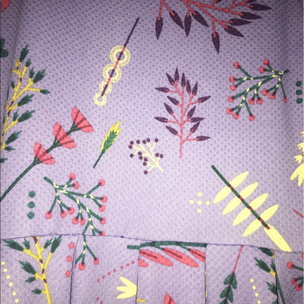 Small Lularoe Amelia