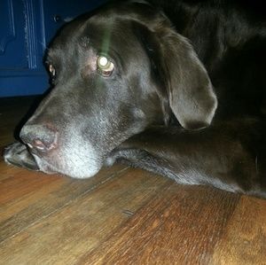 Meet your Posher, Lynn