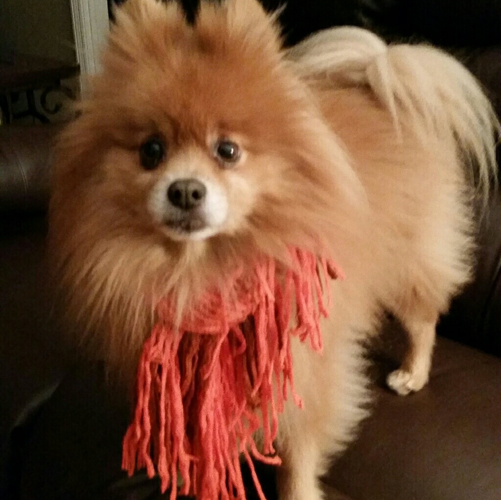 Meet your Posher, Becky