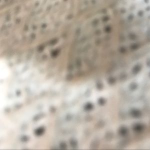 Meet your Posher, Rachelle