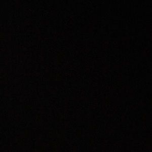 Meet your Posher, Bailey