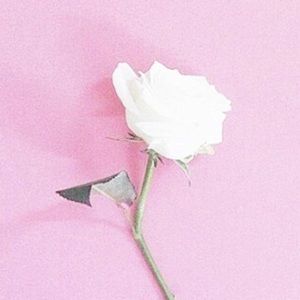 Meet your Posher, Jazmine