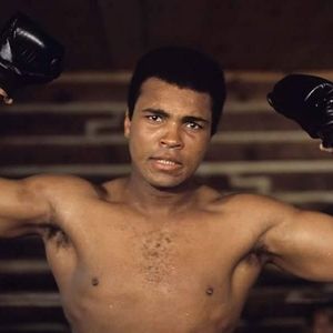 Meet your Posher, Allen-walter