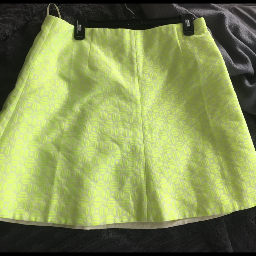 J. Crew skirt