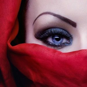 Meet your Posher, Holly