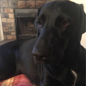 Meet your Posher, Katelynn