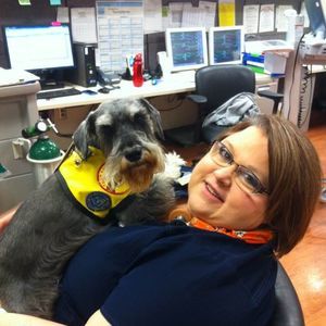 Meet your Posher, Daphne