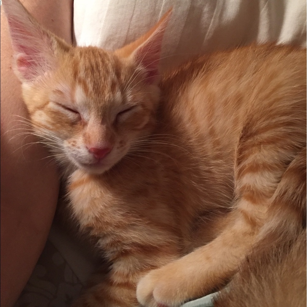 Meet your Posher, Mari