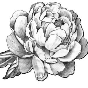 Meet your Posher, Kinyah