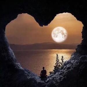 Meet your Posher, Ventura n rony