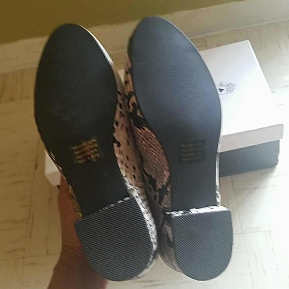 Shoes - Picture 5 of 5