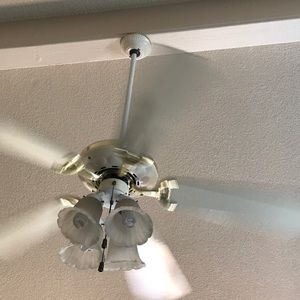 Meet your Posher, Nicki