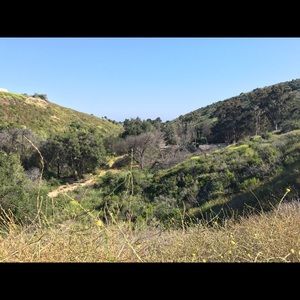 Meet your Posher, Phillip